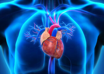 Dare To Take This Quiz And See What You Remember From Middle School Science!