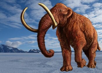 How Much Do You Know About The Land Before Time? Take This Quiz About Dinosaurs to Find Out!