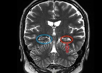 Prove You Are a Science Genius By Passing This Advanced Level Science Quiz