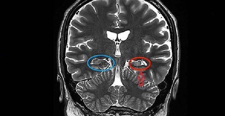 Prove You Are a Science Genius By Passing This Advanced Level Science Quiz