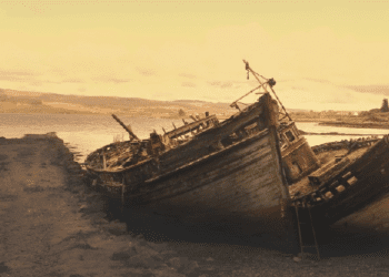 Can You Brave The Elements and Survive? Take This Quiz to Find Out!