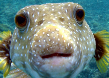 Would You Make a Good Zookeeper? Prove That You Are Zookeeper Material By Taking This Quiz