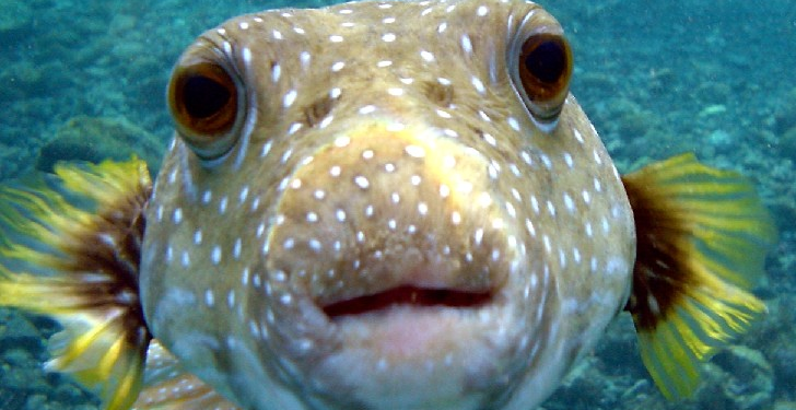 Would You Make a Good Zookeeper? Prove That You Are Zookeeper Material By Taking This Quiz