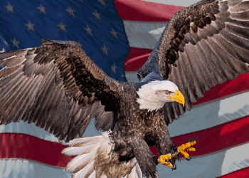 A TRUE US Patriot will get 80%+ on THIS quiz…
