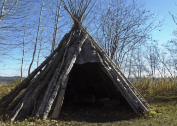 Are You Capable of Surviving on a Deserted Island? To Find Out, Take This Test!