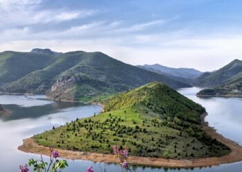 This Primary School Science Test is Impossible for 98% of Adults to Pass.