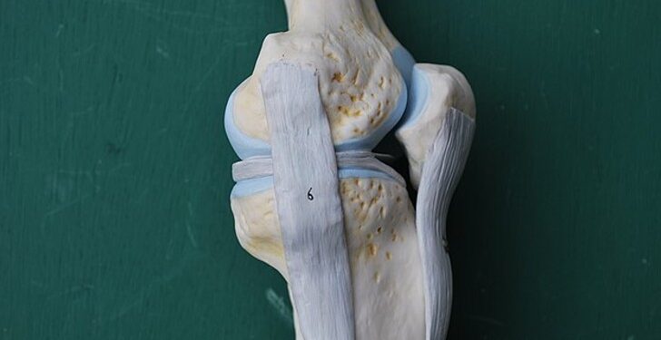 Take This Fourth Grade Science Quiz to Know How Much You Remember!