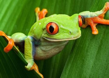 Can You Pass This Graduate-Level Science Exam With a Perfect Score?