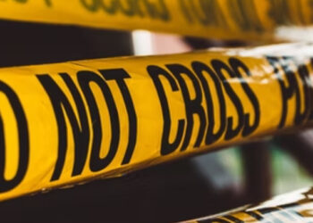 Do You Have What It Takes to Be the Next CSI Detective?