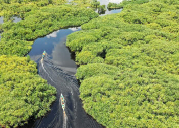 Pass This High School Science Quiz With Flying Colors!