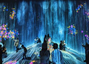 Discover Which Festival Should Be Your Next Adventure with This Fun Quiz!