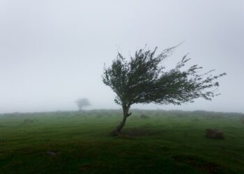 Only True Weather Buffs Can Score 100% on This Quiz!