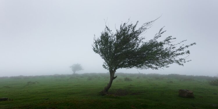 Only True Weather Buffs Can Score 100% on This Quiz!