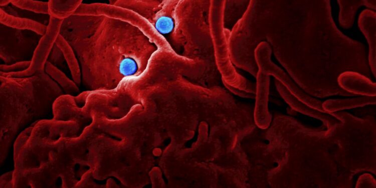 Sick of Being Clueless? Become a Pandemic Pro with Our Viral Trivia Test!