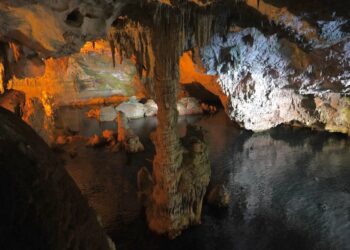 From Cavemen to Megaliths: Can You Conquer Our Stone Age Quiz?