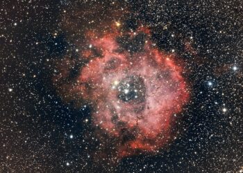 Uncover Rare Astronomical Events with This Stellar Quiz!