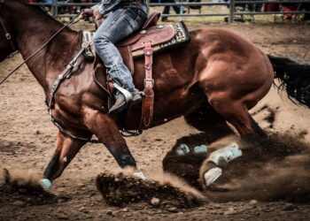 Could You Survive as a Cowboy? Find Out Now!