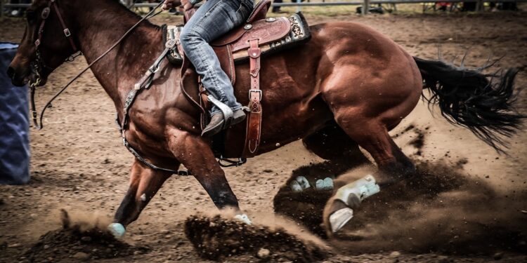 Could You Survive as a Cowboy? Find Out Now!