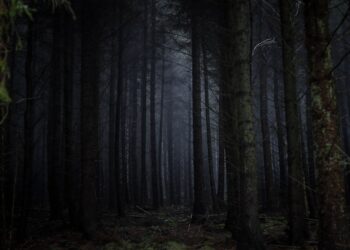 Do You Know What Hunts in the Dark?