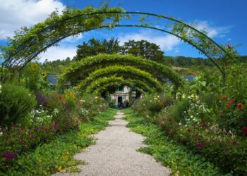 Green Thumb or Garden Rookie? Discover Your Plant IQ in This Quiz!