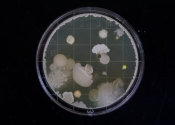 Science Milestones: Test Your Knowledge and Be Amazed!