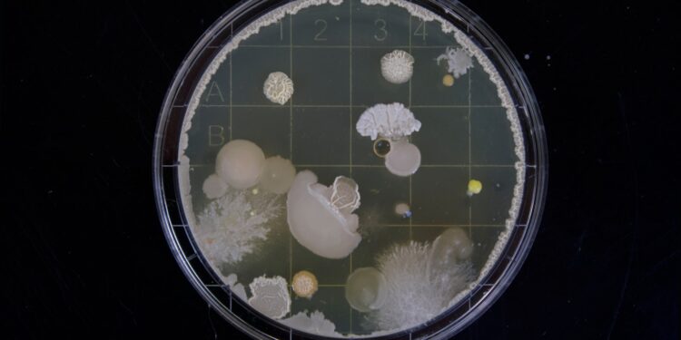 Science Milestones: Test Your Knowledge and Be Amazed!