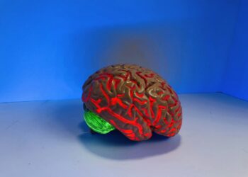 Psych Prodigy: Test Your Genius with Our Psychology Challenge!