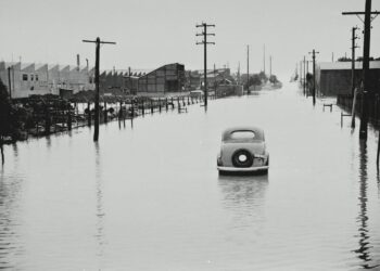 Flood Survival Challenge: Test Your Knowledge and Skills!