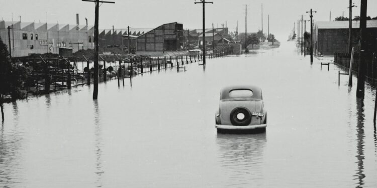 Flood Survival Challenge: Test Your Knowledge and Skills!