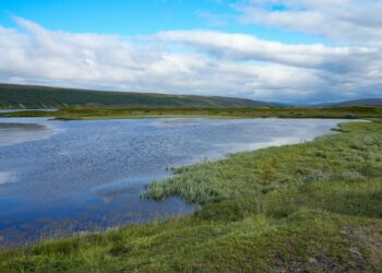 Racing on Man-Made Marvels: Can You Name the Island with a Formula One Track?