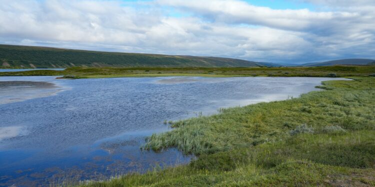 Racing on Man-Made Marvels: Can You Name the Island with a Formula One Track?
