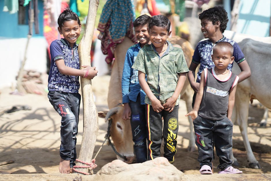 Did You Know Cows Have Best Friends Too?