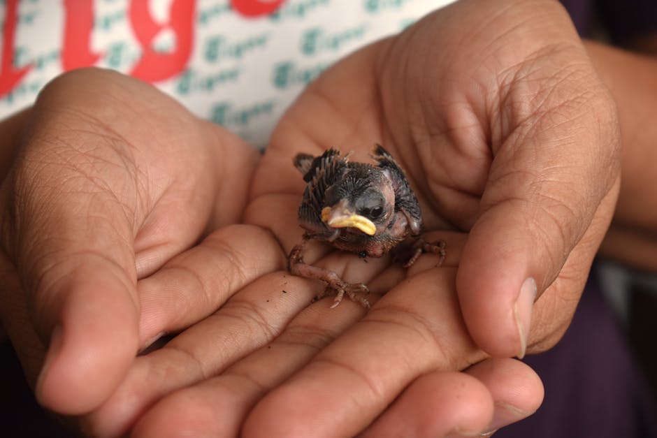 Did You Know How to Survive Anywhere in the Wild?