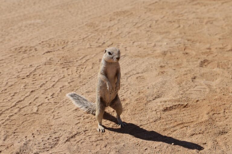 10 Survival Tips Experts Swear By