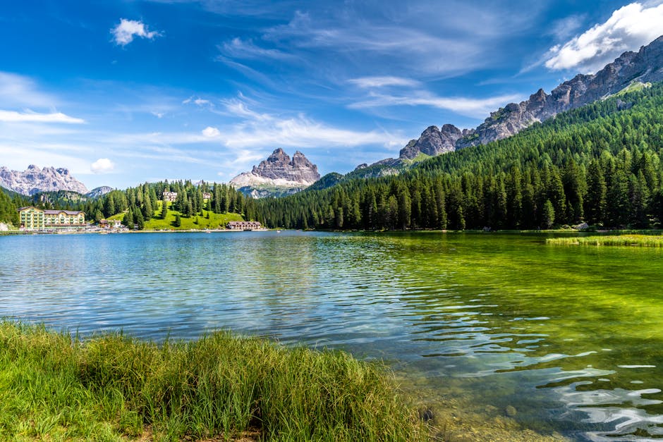 18 Incredible Facts About Sea Creatures