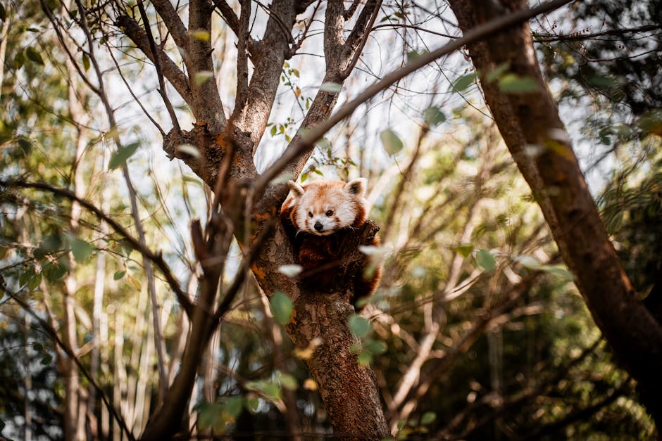 Top 10 Fun Facts About the Animal Kingdom