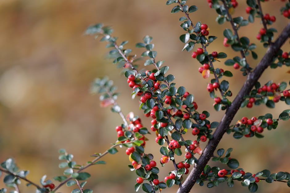 Did You Know? 12 Plants That Can Kill You Instantly