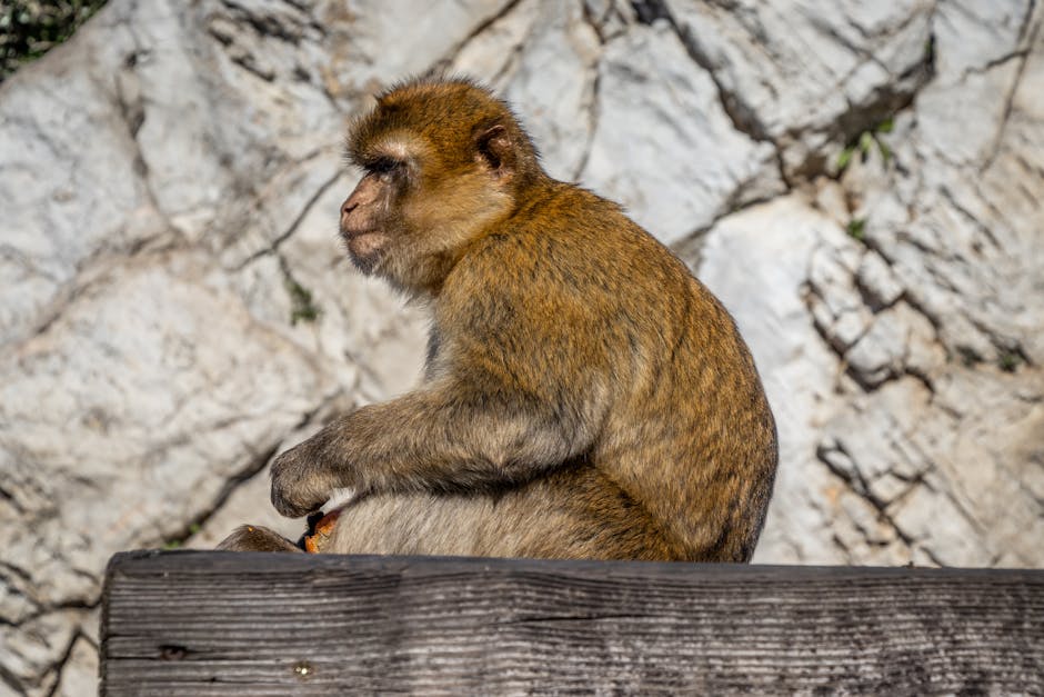 Animals With Abilities That Seem Supernatural