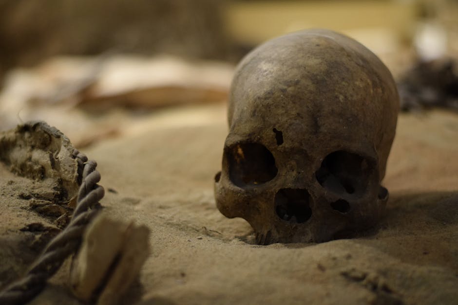 Top 10 Bizarre Historical Events You Won’t Learn in School