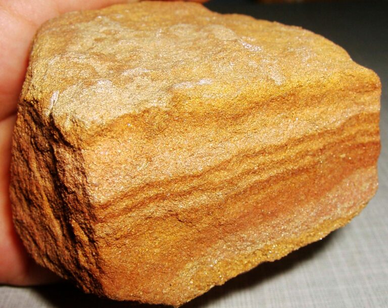 Which Rock Type Is Most Likely To Contain Fossils?