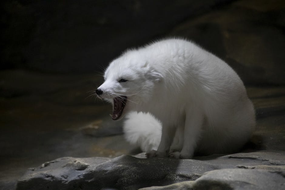 How Animals Adapt Faster Than Humans