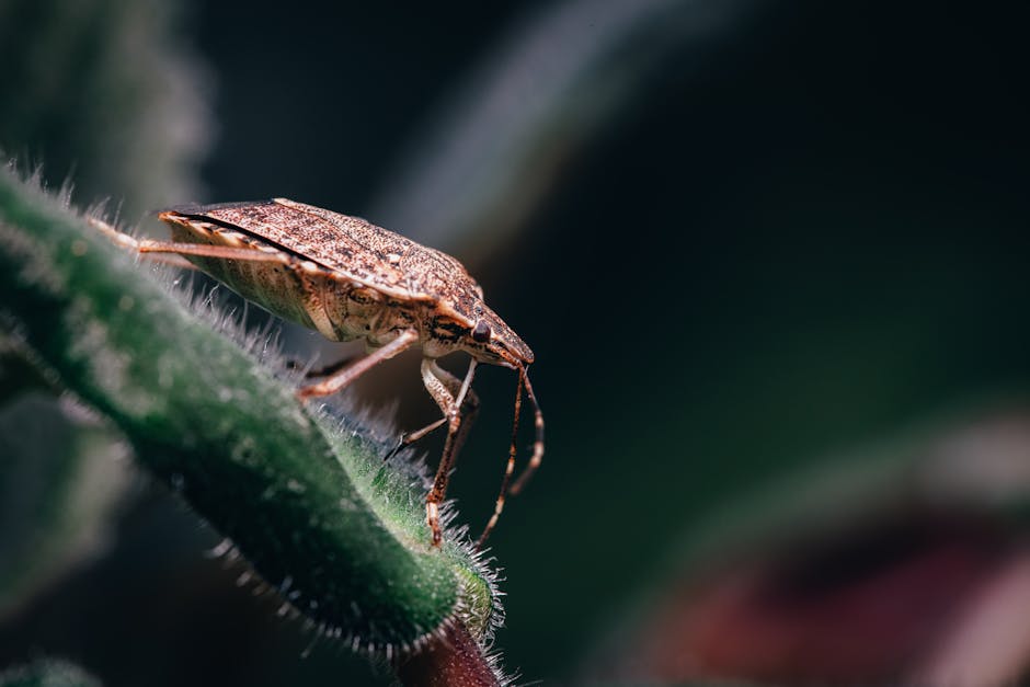 The Hidden Intelligence of Insects