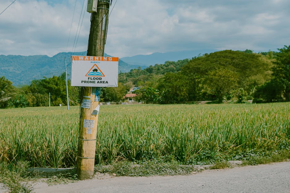 Why Some Regions Are Disaster-Prone