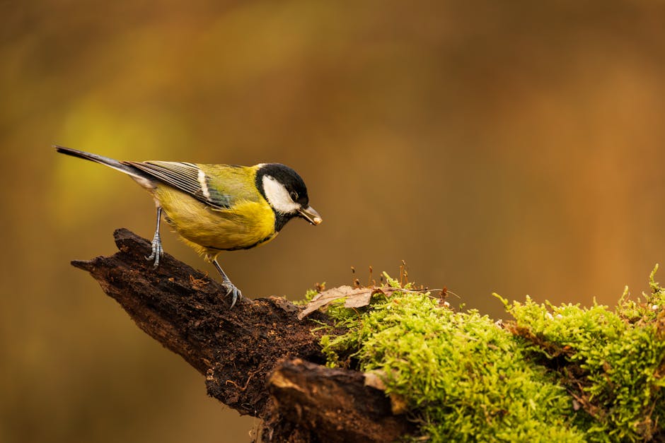 Why Nature Is Rarely Balanced