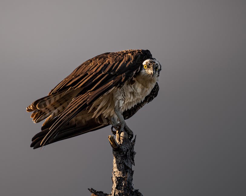 The Power of Slow Natural Processes