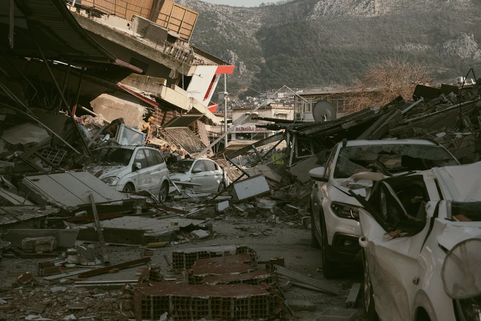 How Nature Recovers After Destruction