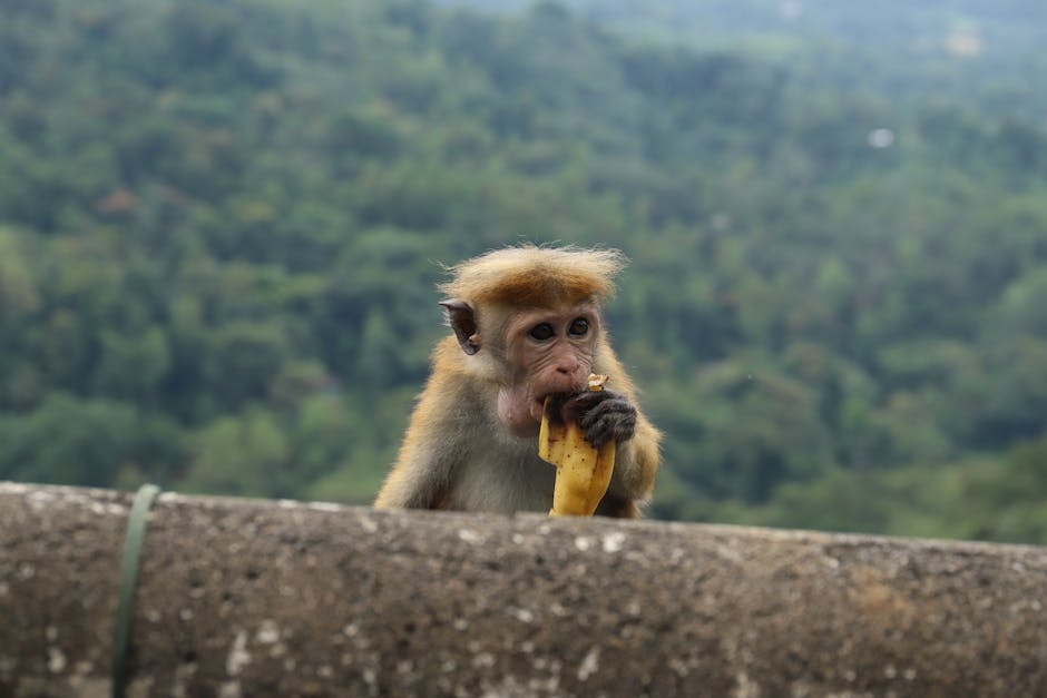 Nature’s Most Efficient Designs