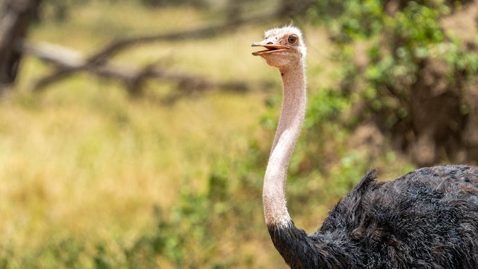Top 10 Animals with the Longest Lifespans