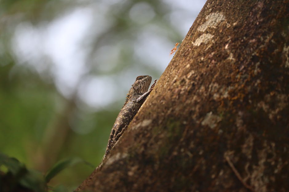14 Fun Facts About Birds from Around the World