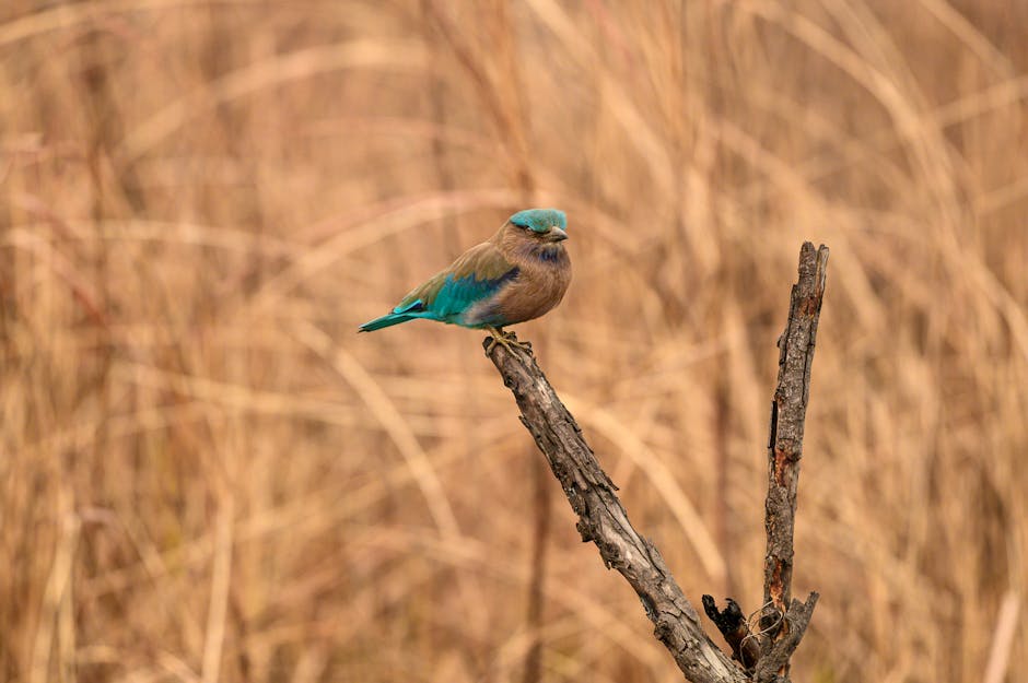 Top 10 Animals with Incredible Superpowers